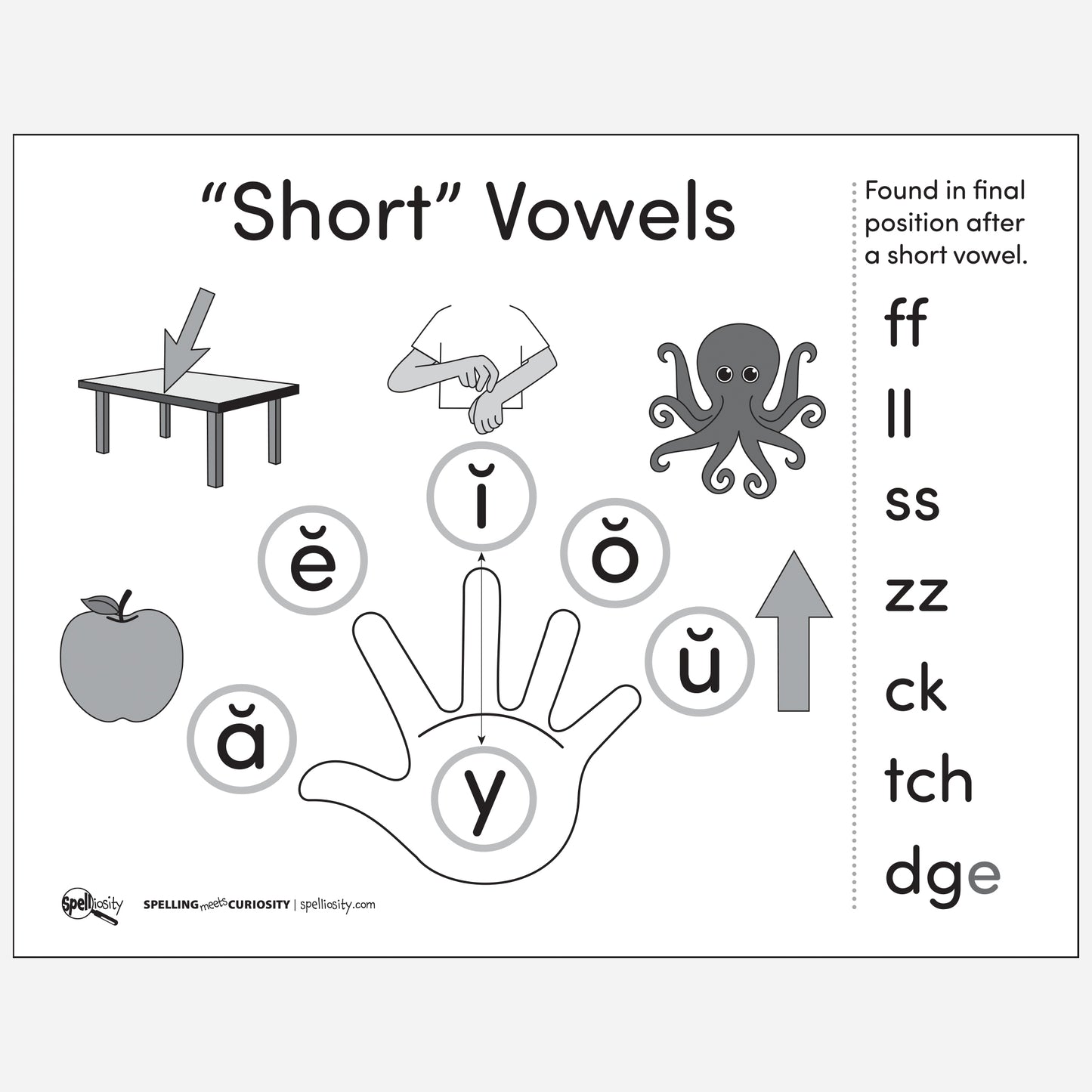 Anchor Chart - Short Vowels With FLOSZ