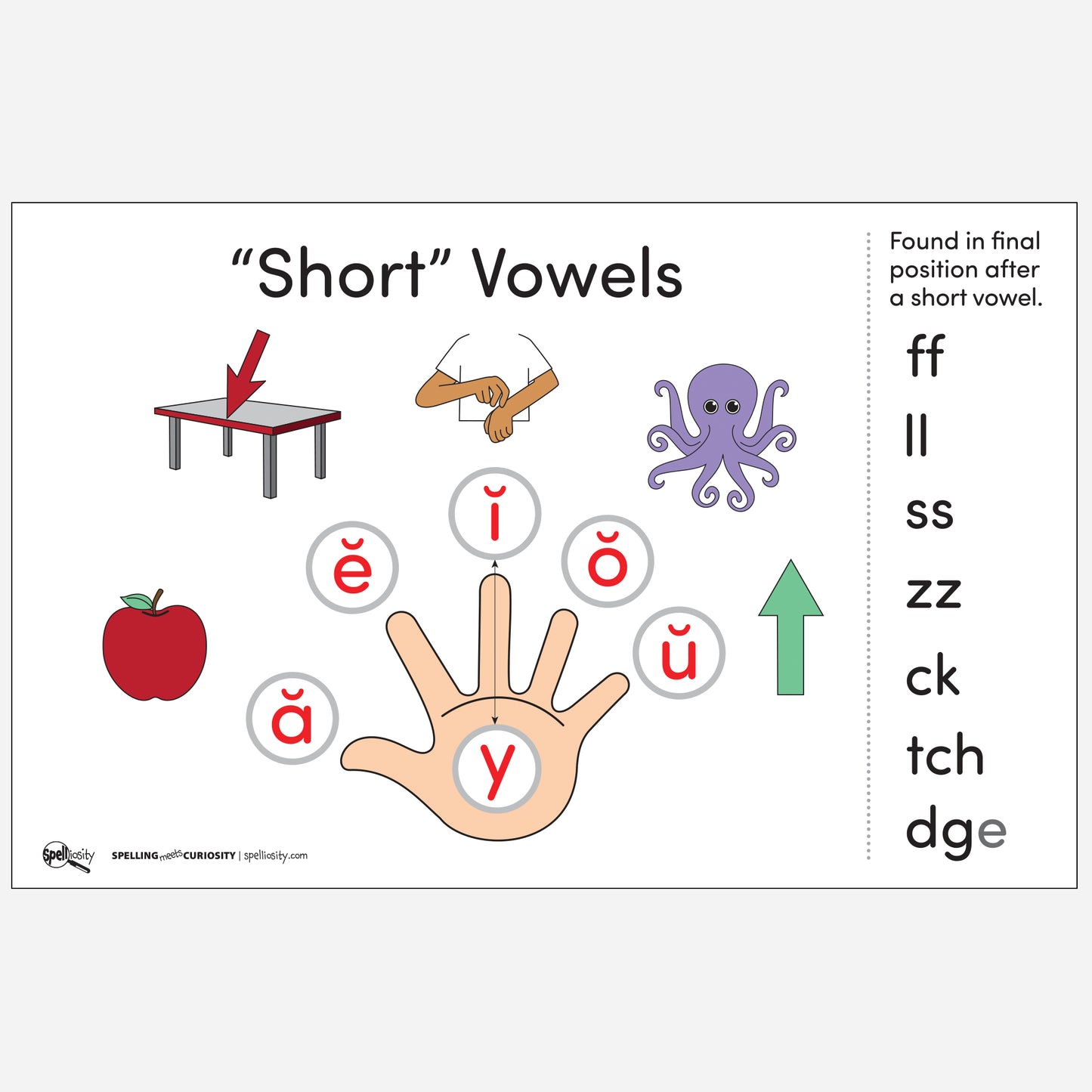 Anchor Chart - Short Vowels With FLOSZ